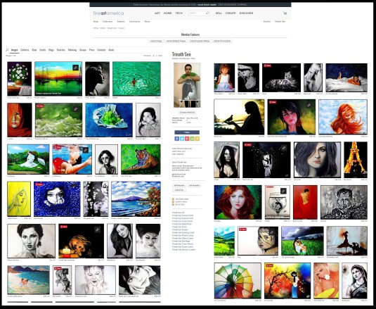 FineArtAmerica 2016-06-19_10-45-10